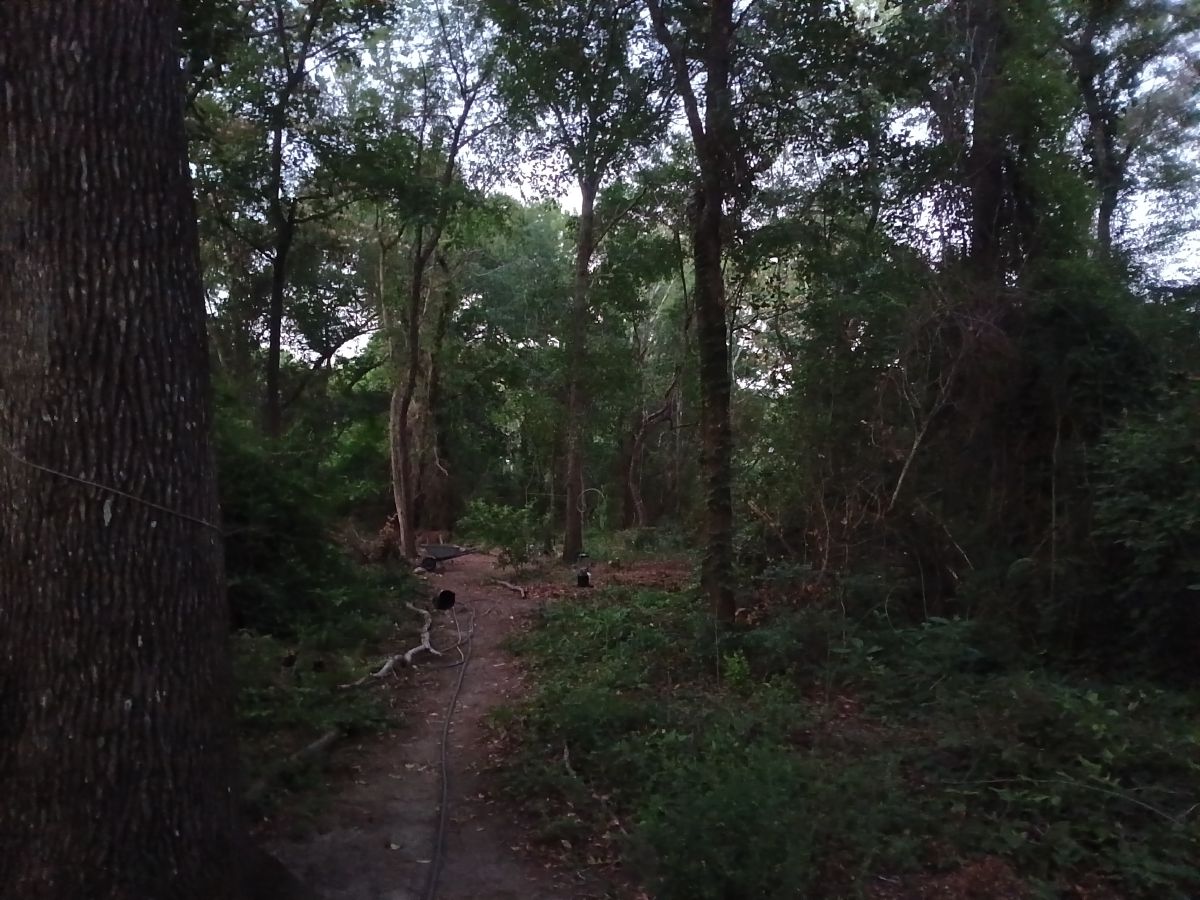 Nature trail restoration progress