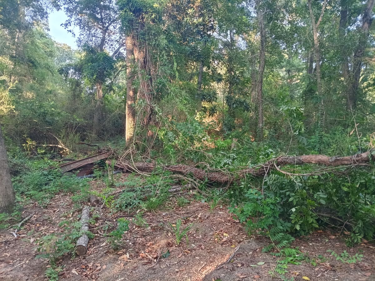 Nature trail restoration progress