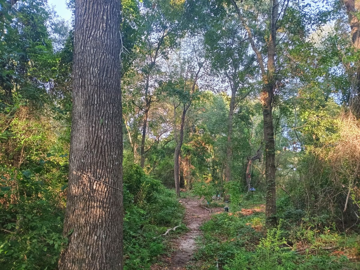 Nature trail restoration progress