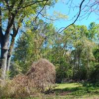 Nature trail progress