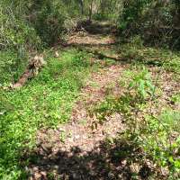 Nature trail progress