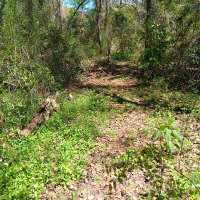 Nature trail progress
