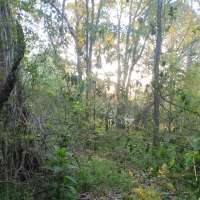 Nature trail progress