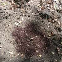 Nature trail progress
