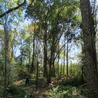 Nature trail progress