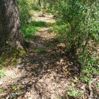 Nature trail progress
