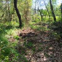 Nature trail progress