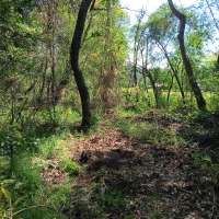 Nature trail progress