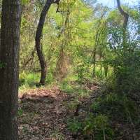 Nature trail progress