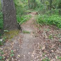 Nature trail progress