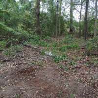 Nature trail progress