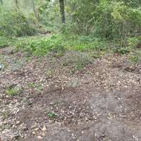 Nature trail progress