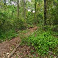 Nature trail progress