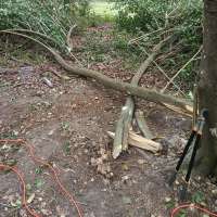 Nature trail progress