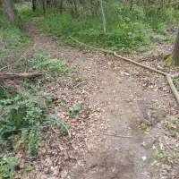 Nature trail progress
