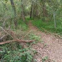 Nature trail progress