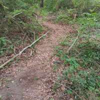 Nature trail progress