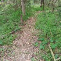 Nature trail progress