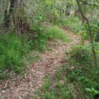 Nature trail progress
