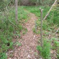 Nature trail progress