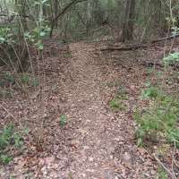 Nature trail progress