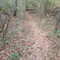 Nature trail progress