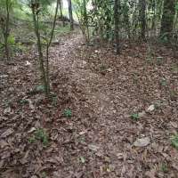 Nature trail progress