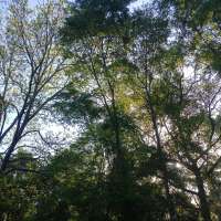 Nature trail progress