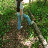 Nature trail progress