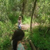 Nature trail progress