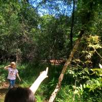 Nature trail progress