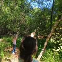 Nature trail progress