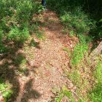 Nature trail progress