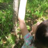 Nature trail progress