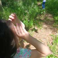 Nature trail progress