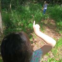 Nature trail progress