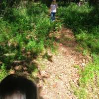 Nature trail progress