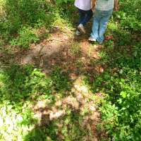 Nature trail progress