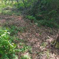 Nature trail progress