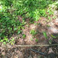 Nature trail progress