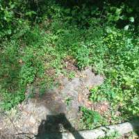 Nature trail progress