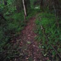 Nature trail progress