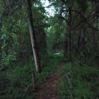 Nature trail progress