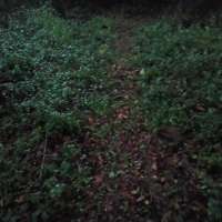 Nature trail progress