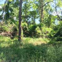 Nature trail progress
