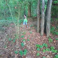Nature trail progress