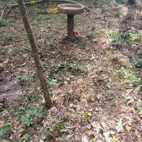 Nature trail progress