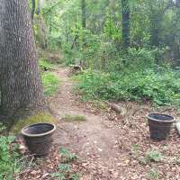Nature trail progress