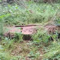 Nature trail progress