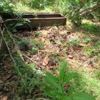 Nature trail progress